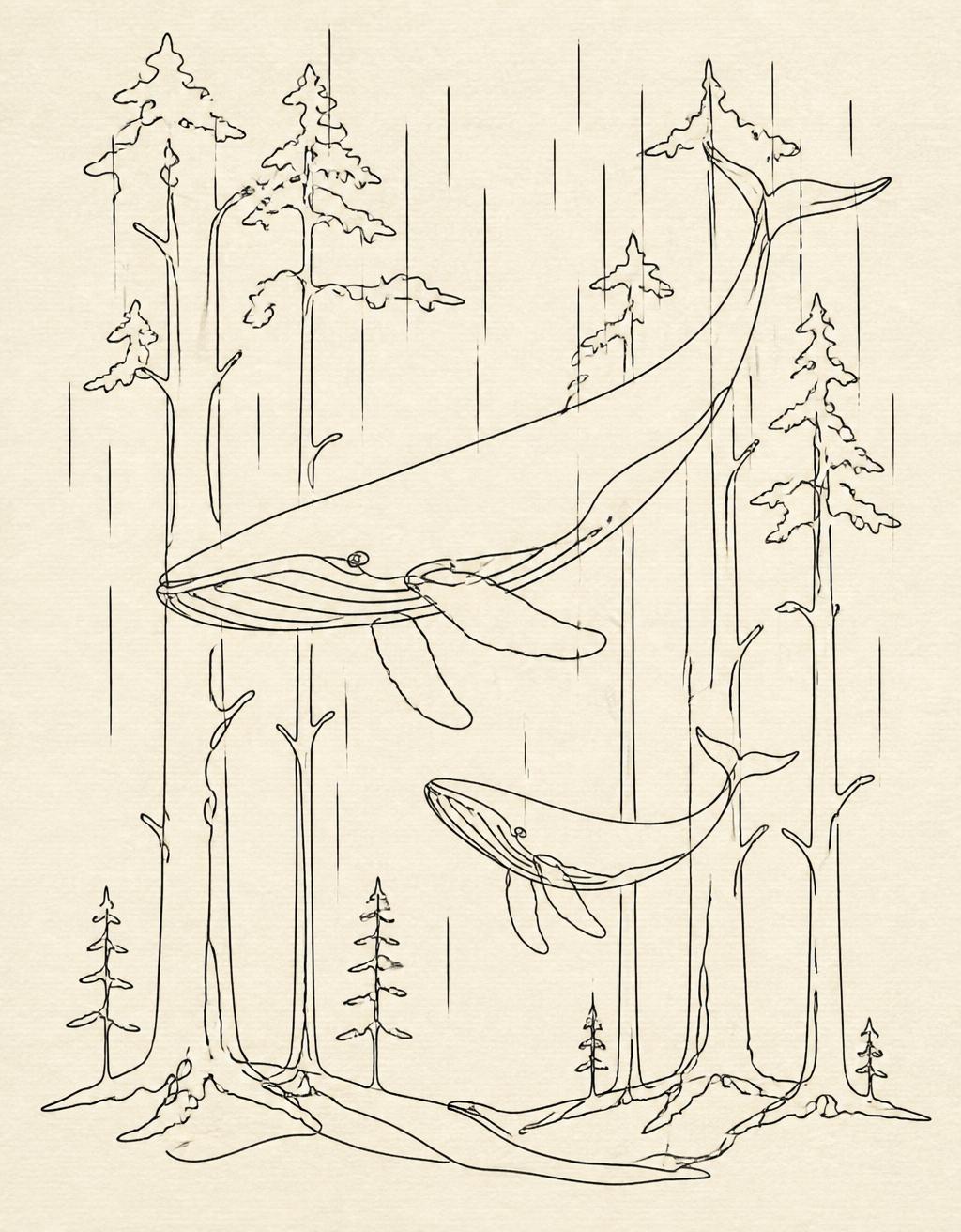 Two Whales in a Forest of Rain