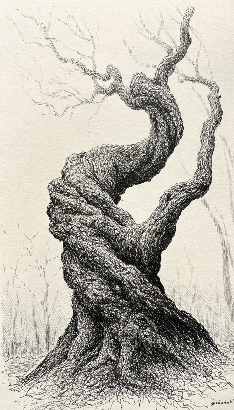 Embrace