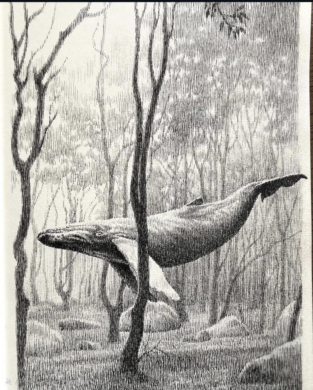 Two Whales in a Forest of Rain