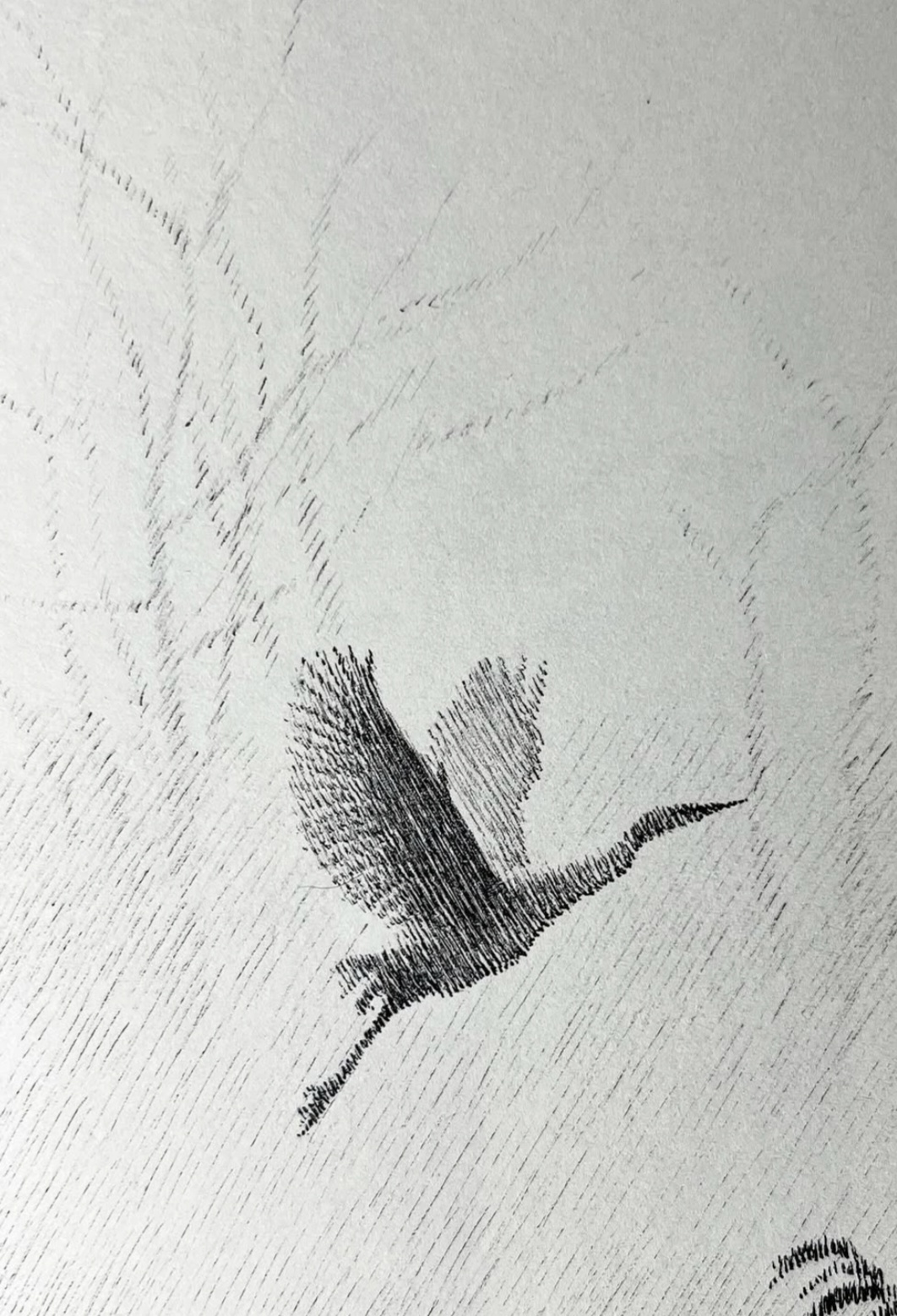The First Bird to Leave the Page