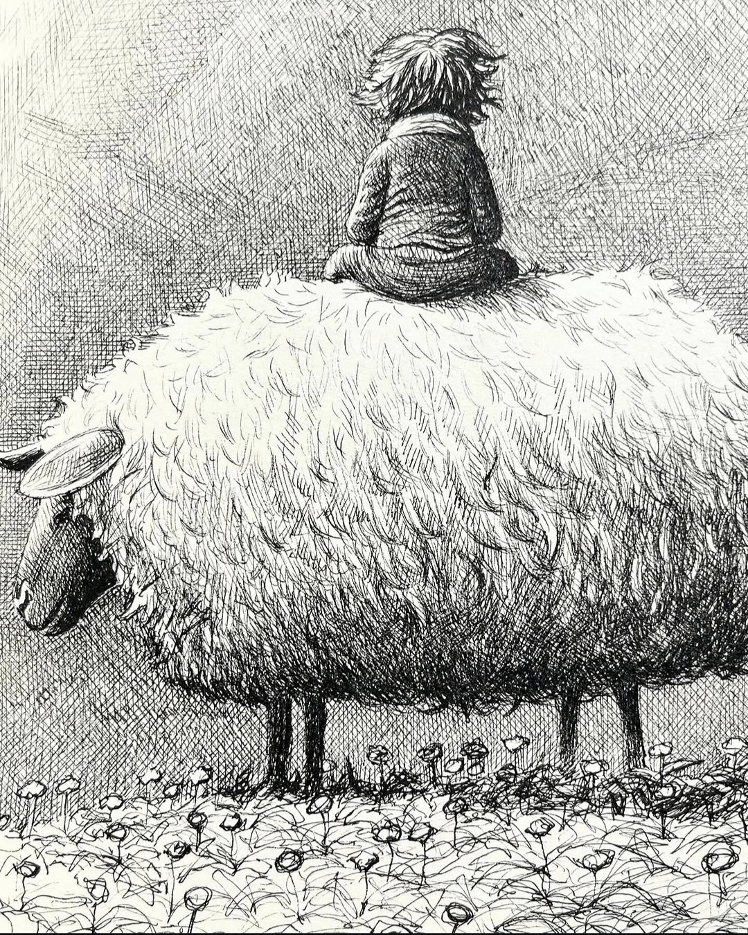 On the Shoulder of the Soft One